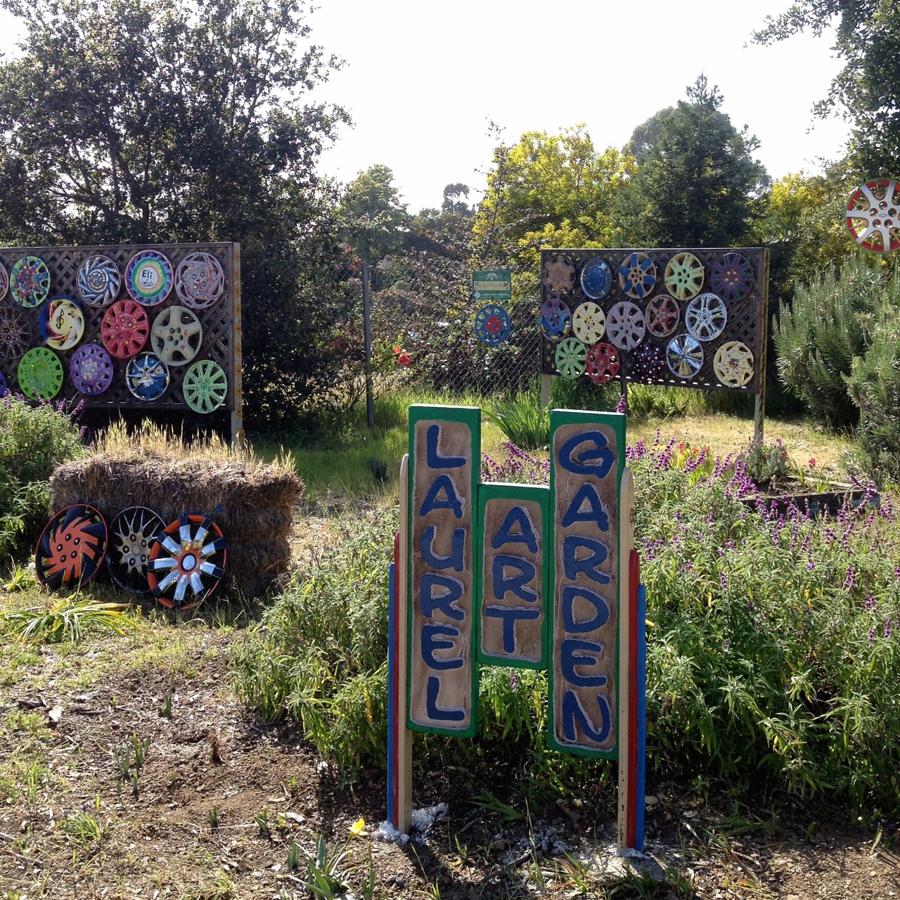 Information about "IMG_4474.JPG" on laurel art garden Oakland LocalWiki